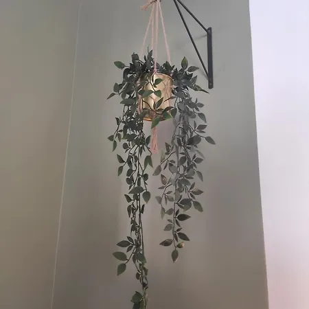 شقة Tropicalissime *