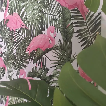 Tropicalissime شقة