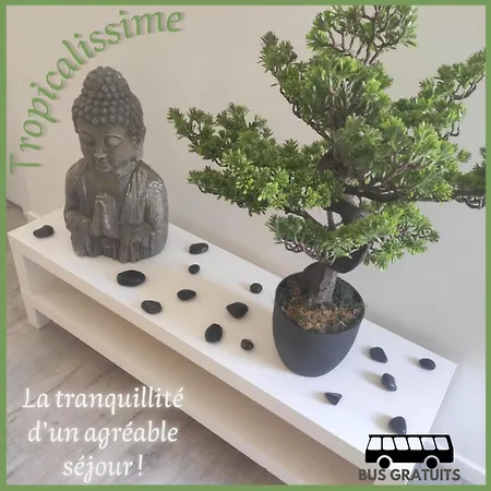 Apartment Tropicalissime Dunkirk