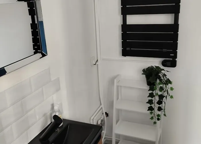 Tropicalissime * Dunkirk