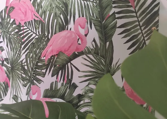 Tropicalissime Lejlighed